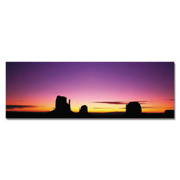 DYC 10384 Single Spray Oil Paintings Photography Landscape Tropical Sunrise Wall Art For Home Decor