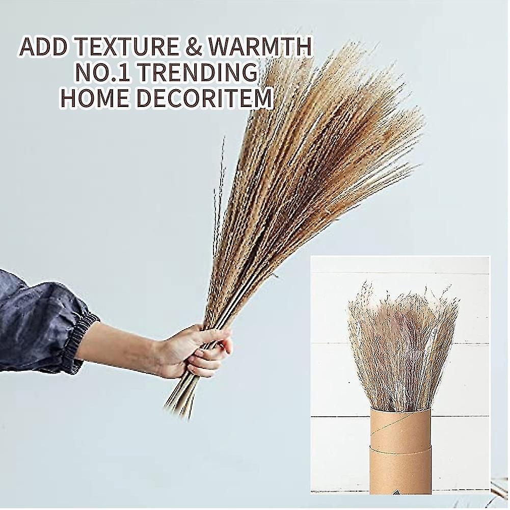 Dried Pampas Grass,for Flower Arrangements,wedding, Office,home Decor
