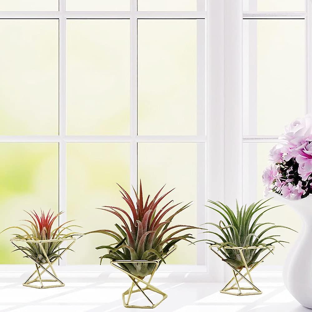 4 Pcs Geometric Air Plant Holder Airplants Rack Metal Plants Stand