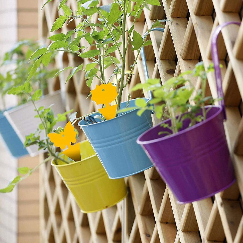 24pc Fruit Fly Sticky Traps,gnat Traps Insect Trap for Plants Outdoor