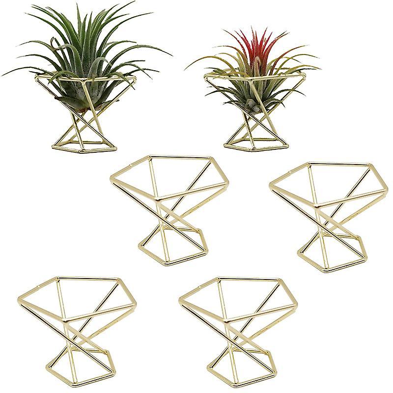 6 Pcs Geometric Air Plant Holder Airplants Rack Metal Plants Stand