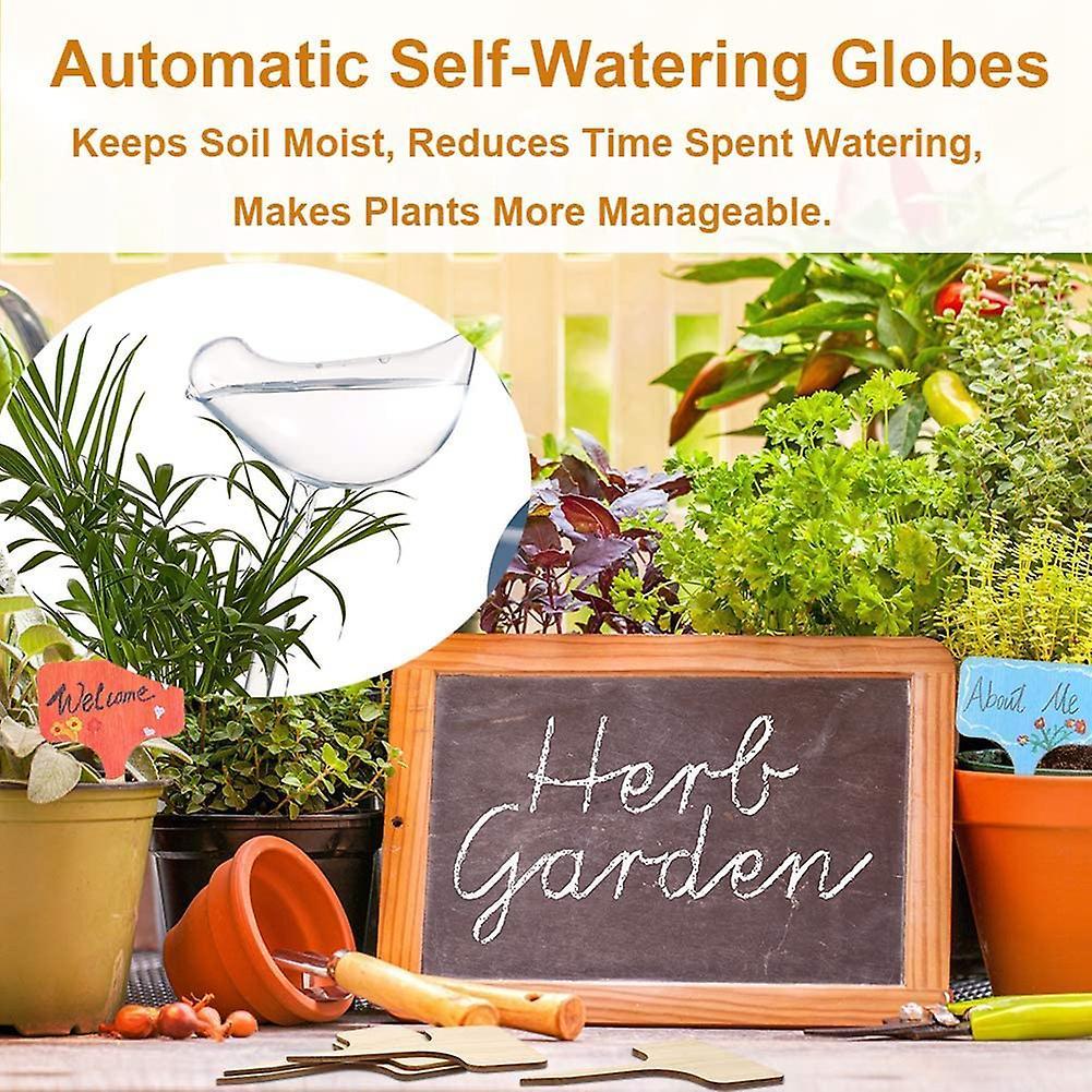 Plant Watering Globes - 5pcs Plant Watering Devices Premium Plant