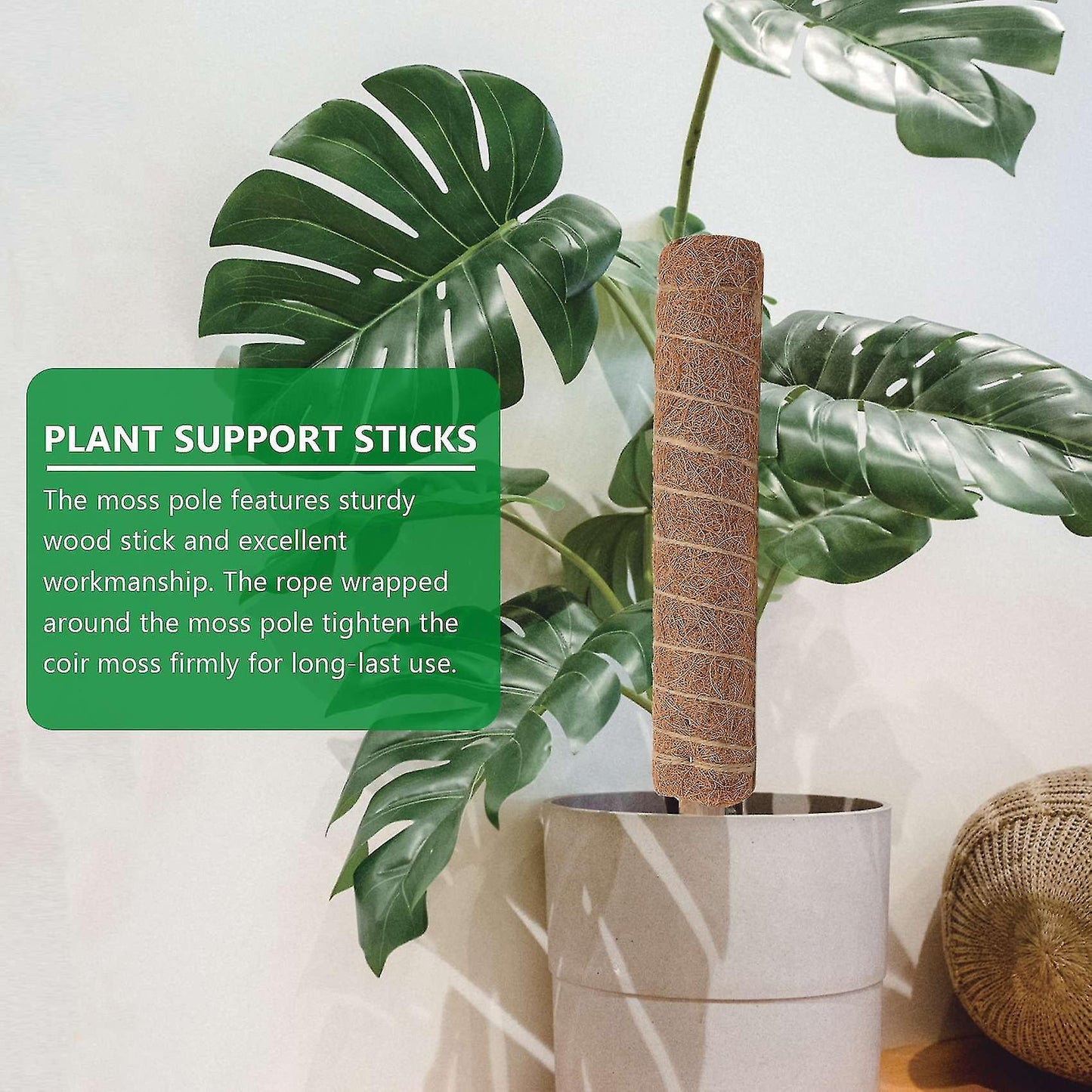 Moss Pole 40cm for Cheese Plant, Stackable Moss Stick and Ties