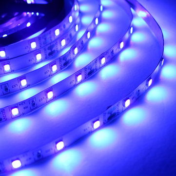 5M 36W 3528SMD Waterproof Flexible Purple 300 LED Strip Light with DC Connector DC12V