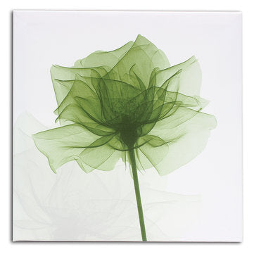 4Pcs Framed Abstract Flower Canvas Print Art Painting Home Wall Decorations 30cm