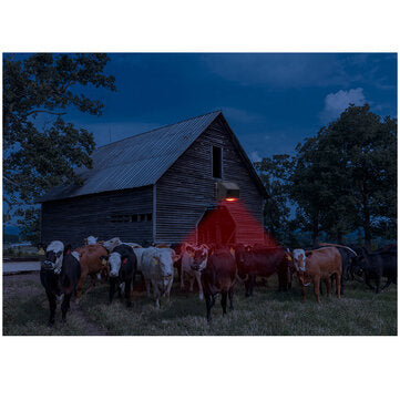Solar Alarm Strobe Light Animal Repellent Flashing 8 LEDs Light Motion Sensor Security Alarm System