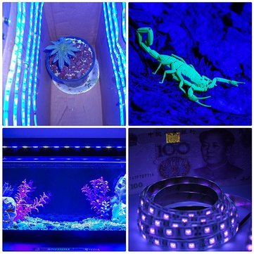 5M 36W 3528SMD Waterproof Flexible Purple 300 LED Strip Light with DC Connector DC12V