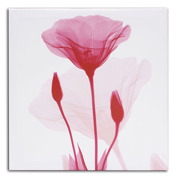 4Pcs Framed Abstract Flower Canvas Print Art Painting Home Wall Decorations 30cm