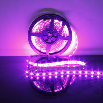 3X 5M RGB Non-Waterproof 300 LED SMD 5050 LED Strip Light DC 12V