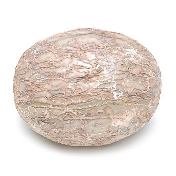 Segnosaur Dinosaur Egg Simulation Fossilized Fossil Teaching Specimen Room Decorations Gift