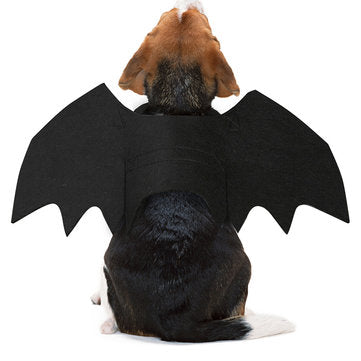 Halloween Black Bat Wings Cute Party Decoration Toys (SIZE.: L)