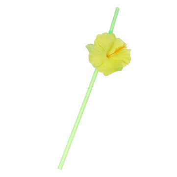 6Pcs Hawaiian Luau Hula Tropical Plastic Party Coconut Cup Drink & Straw Decoration    Drinking Stra