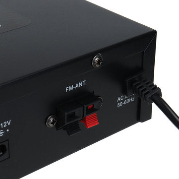 DC12V AC 220V 4-16 Mini bluetooth Remote Control High Power Car Amplifier Speaker