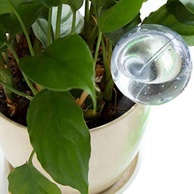 11pcs Clear Automatic Watering Bulbs for Plants Houseplant Plant Pot