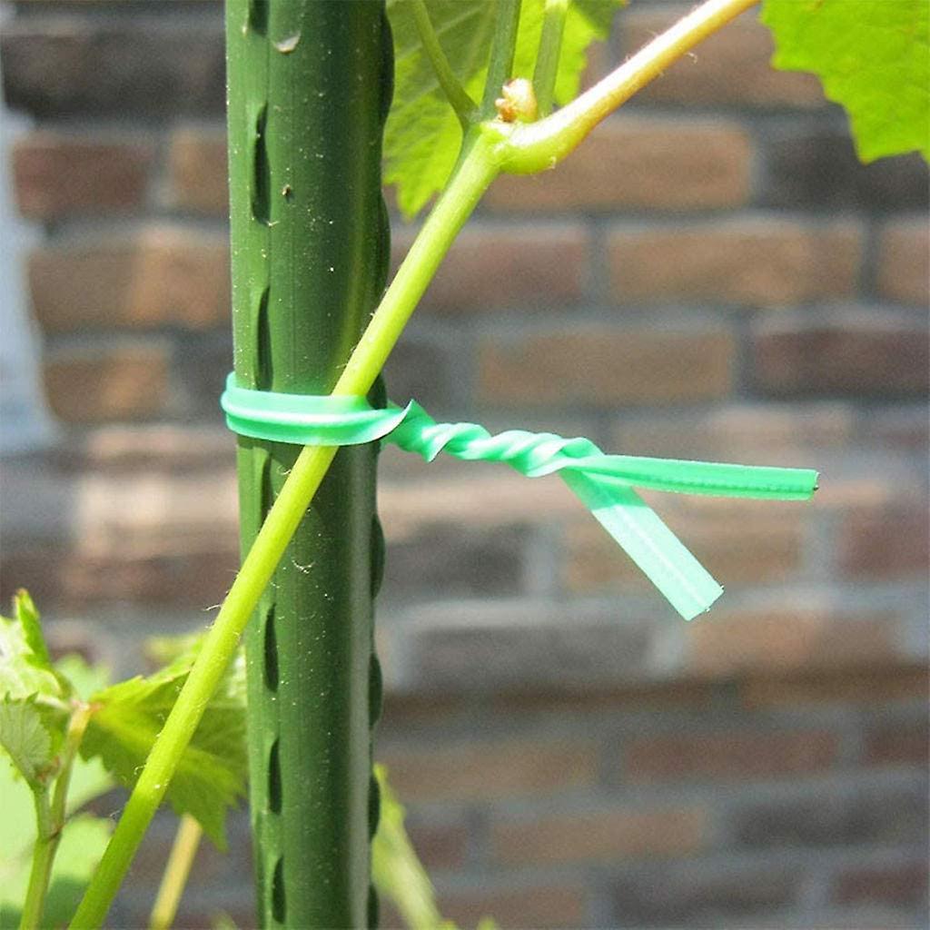 Gardening Twisted Wire with Gardening Twisted Green Wire(20m, Green)