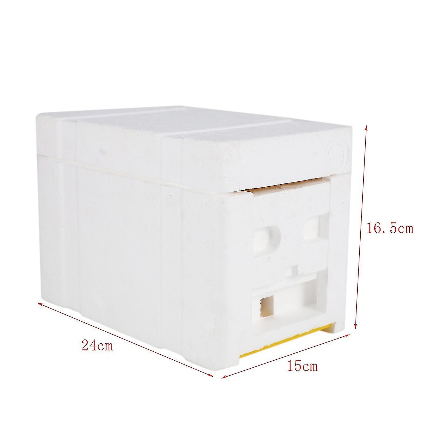 Bee Hive Beekeeping King Box Pollination Box Foam Frames Tool Kit