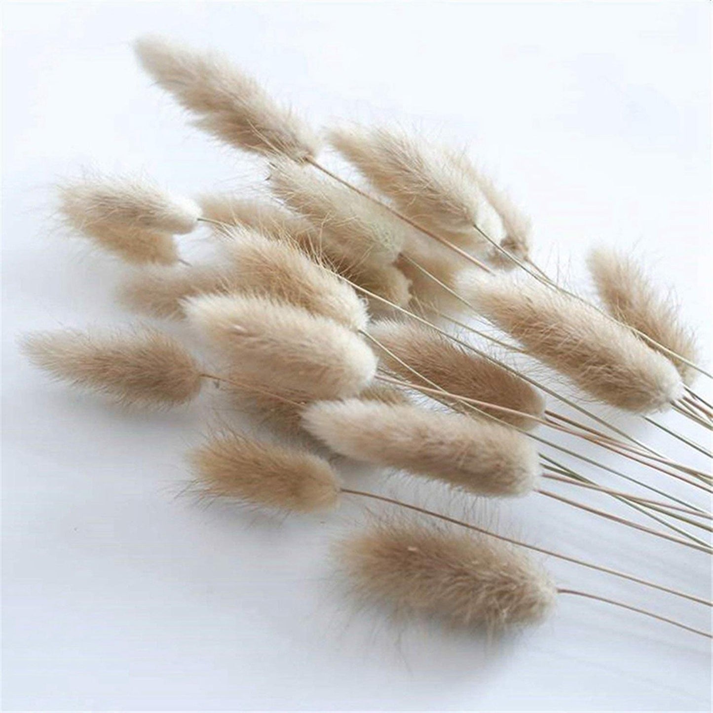 50pcs Natural Raw Color Dried Flowers Real Flower Bouquet