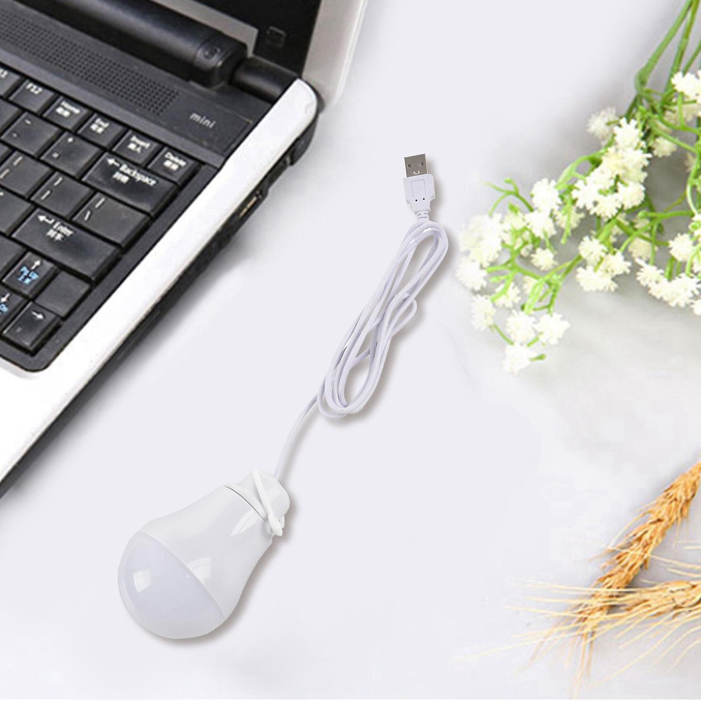 Dc5v 5w Ampoule Led Usb Lampe Portable (blanc)