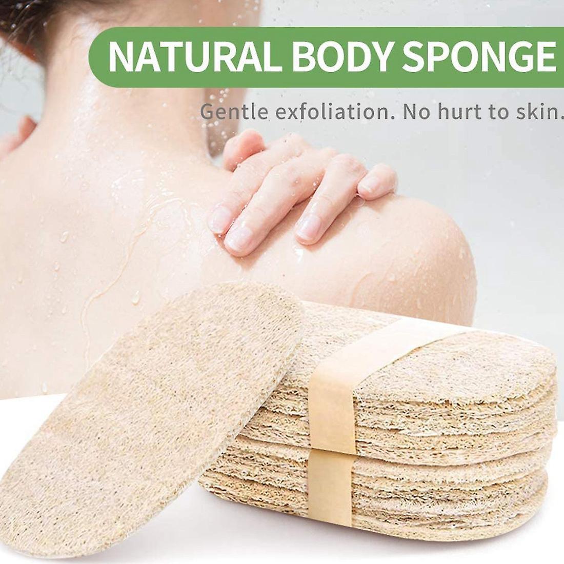 Eco Friendly Sponges, Natural Sponges for Dishes, Pots, Pans,utensils