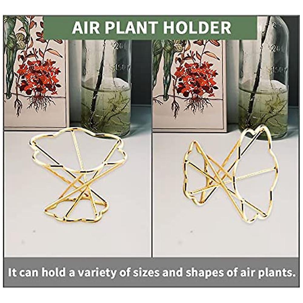 Air Plant Holder Metal for Home Office and Wedding Decoration