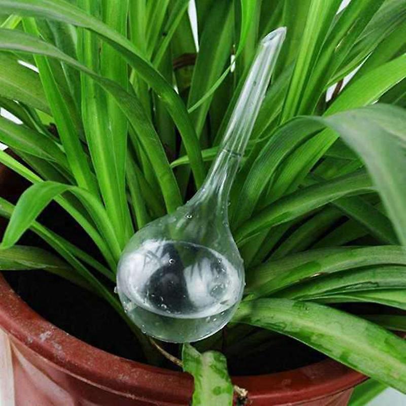 11pcs Clear Automatic Watering Bulbs for Plants Houseplant Plant Pot