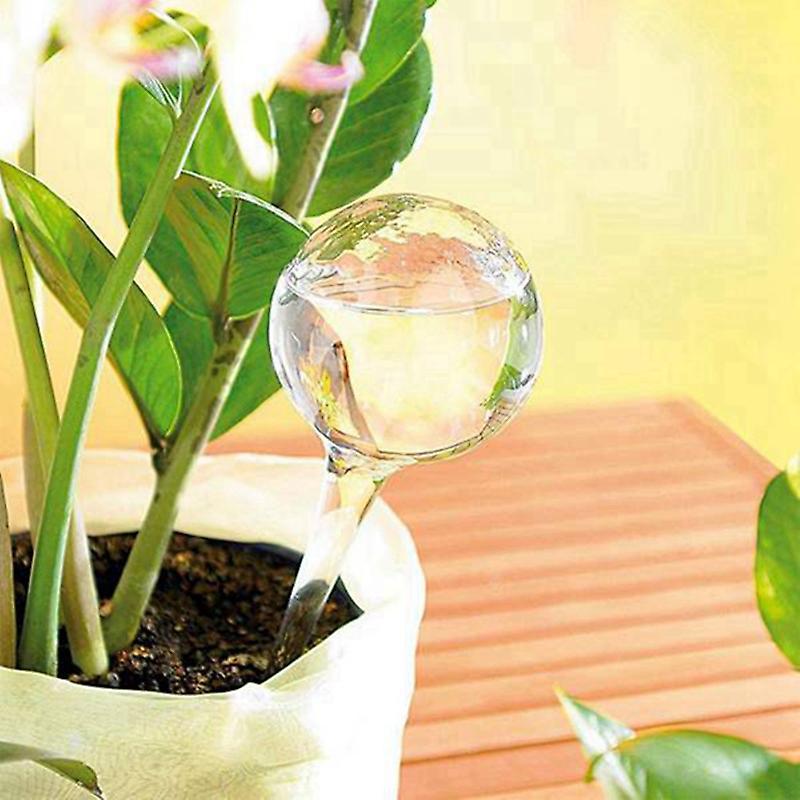 11pcs Clear Automatic Watering Bulbs for Plants Houseplant Plant Pot