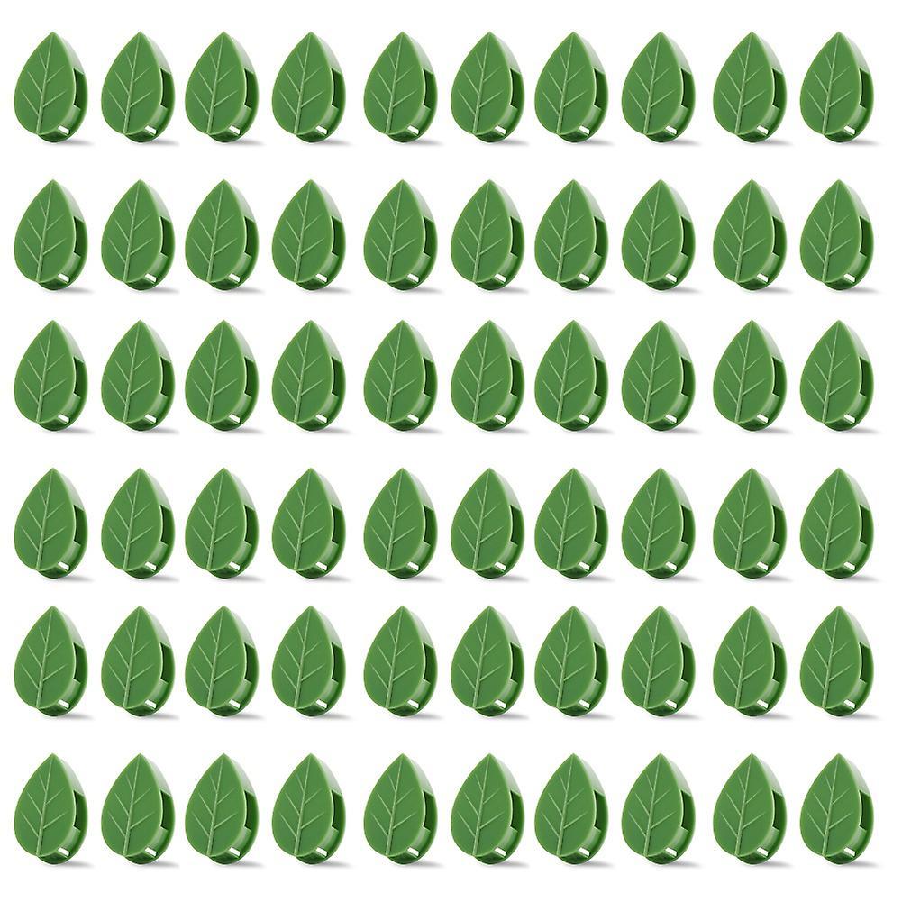 Plant Clips for Climbing Plants(pack Of 60), Stems Upright, Vines