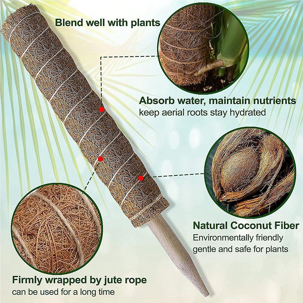 Moss Pole Monstera Coir Totem Pole for Climbing Plants Moss Sticks
