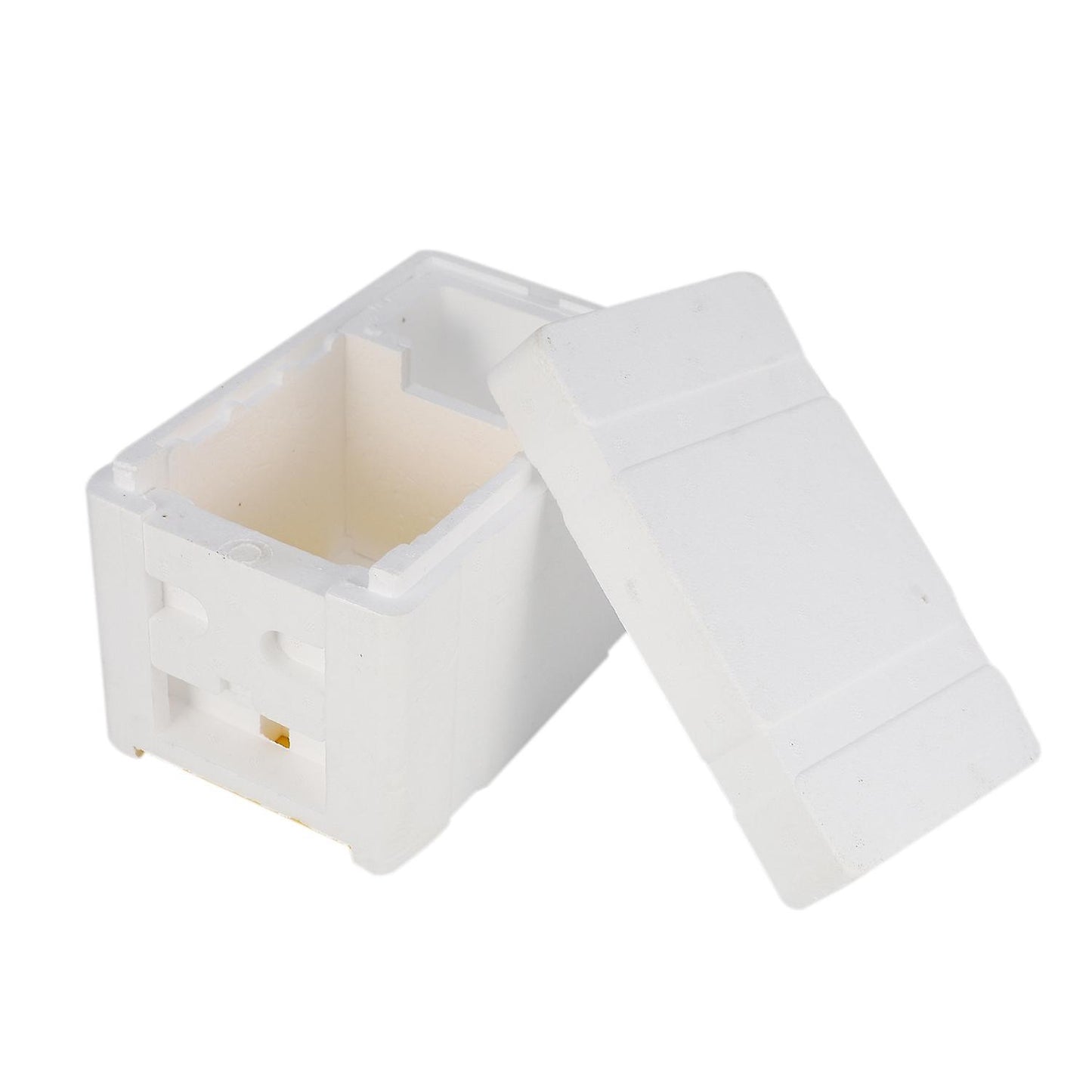 Bee Hive Beekeeping King Box Pollination Box Foam Frames Tool Kit