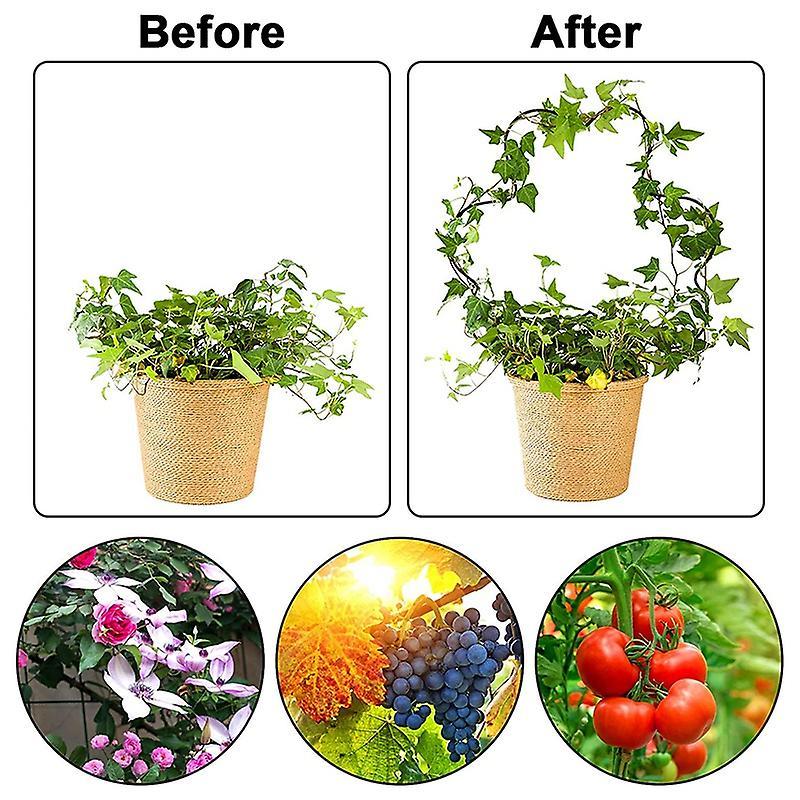 2pc Rust-proof Metal Support Line for Garden Potted Climbing Stems-b