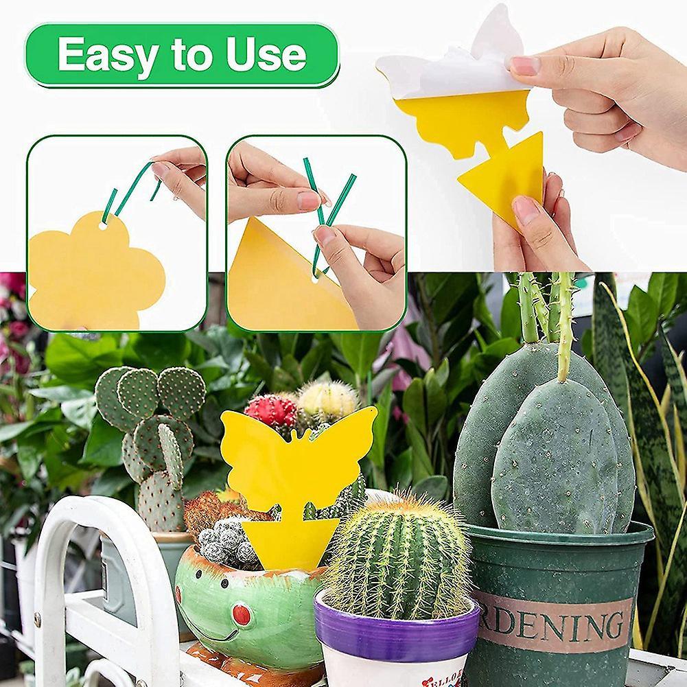 Fruit Fly Sticky Traps, Indoor Gnat Killer Pest Control for Plants