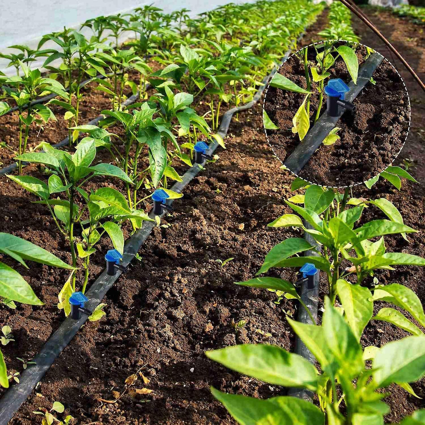 60 Pieces Irrigation Drip Emitter Garden Flag Irrigation Dripper