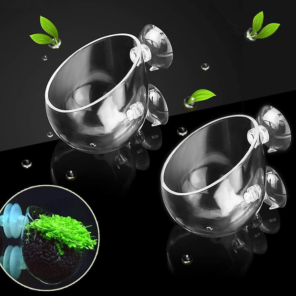 Aquatic Planter Red Shrimp Live Plants Fish Tank Glass Holder