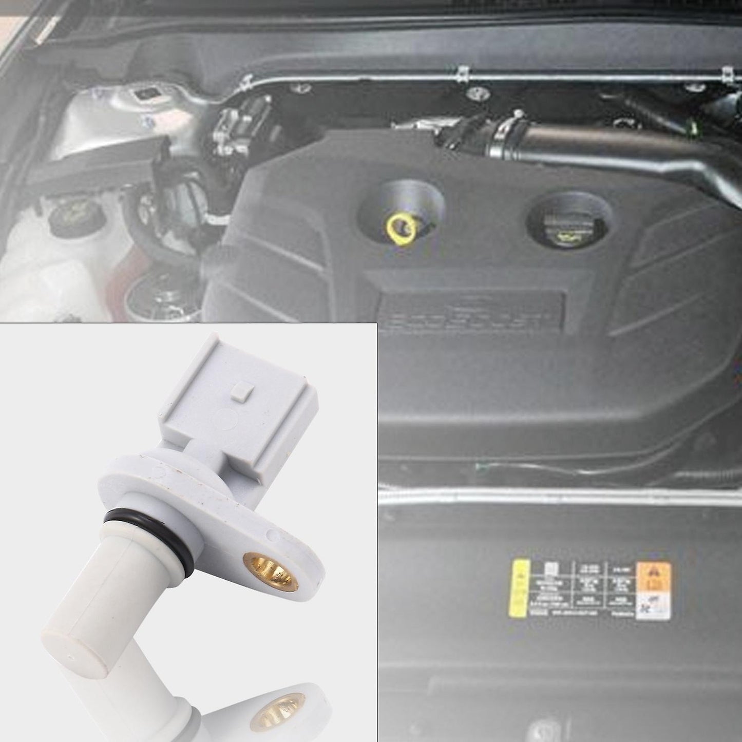Camshaft Position Sensor for Ford Transit Bus Box Mondeo