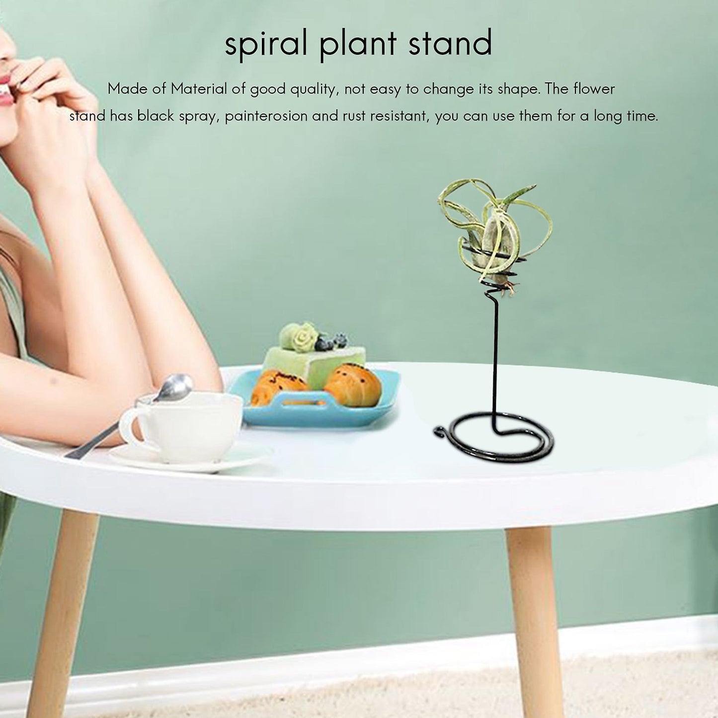 Plant Holder, Iron Spiral Flower Stand, Holder for Displaying Plant