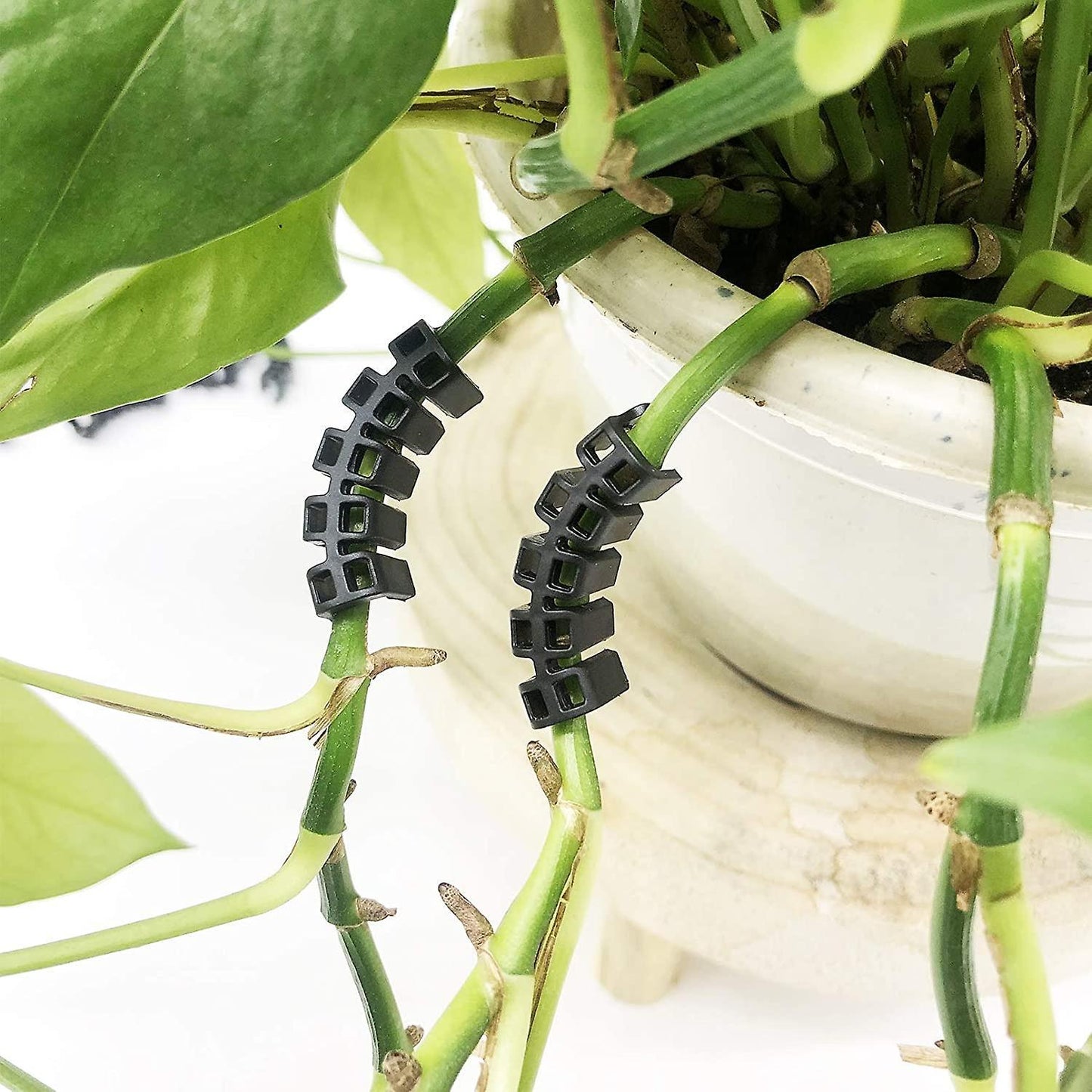 Plant Benders for Low Stress Training, Plant Training Clips