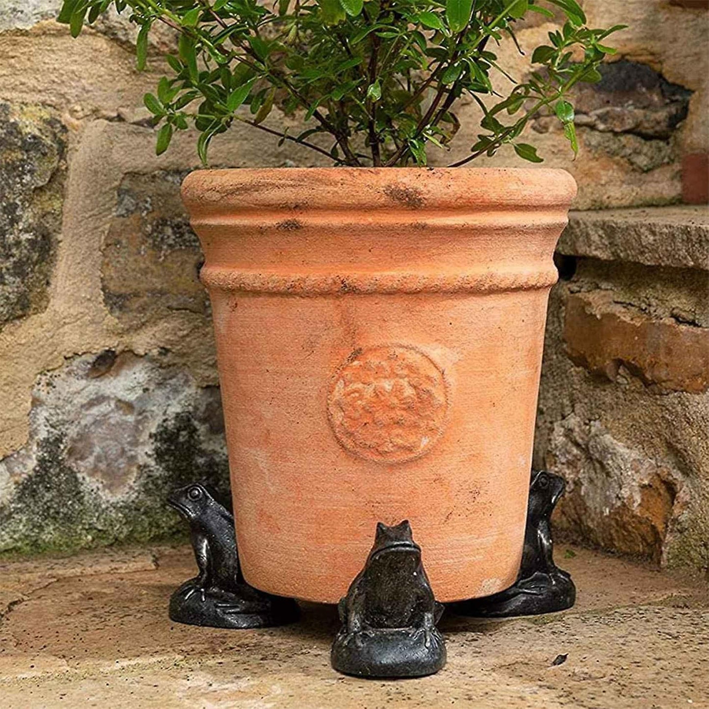 3pcs Plant Risers for Pots Poly Resin Plant Pot Feet C