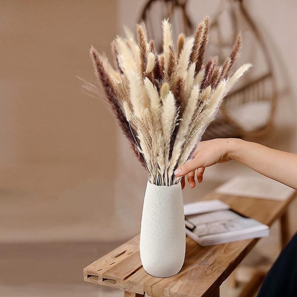 Dried Pampas Grass for Home Decor,faux Pampas Grass,white ,brown Mini