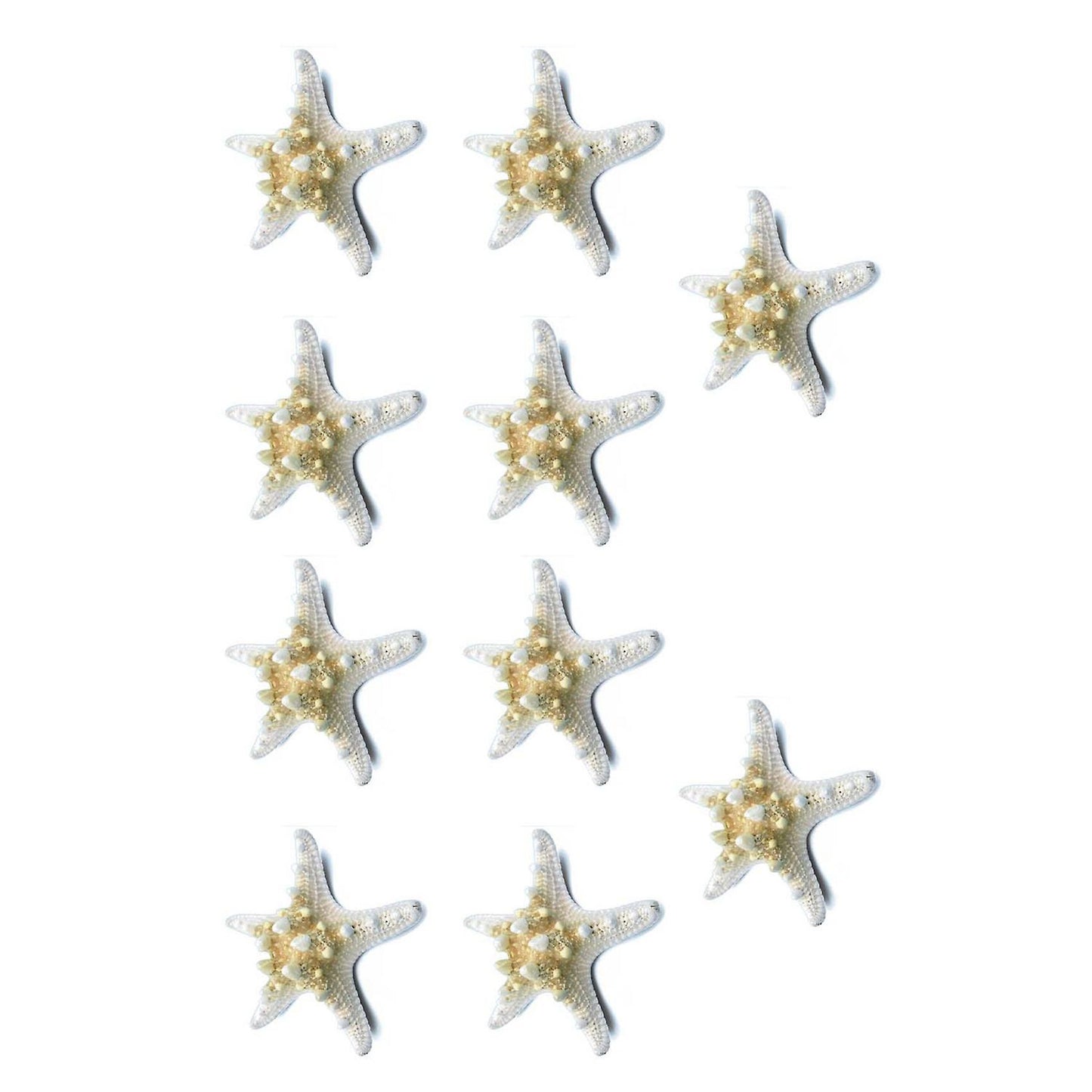10pcs/lots Crafts White Bread Sea Shell Starfish, Fashion Handicrafts