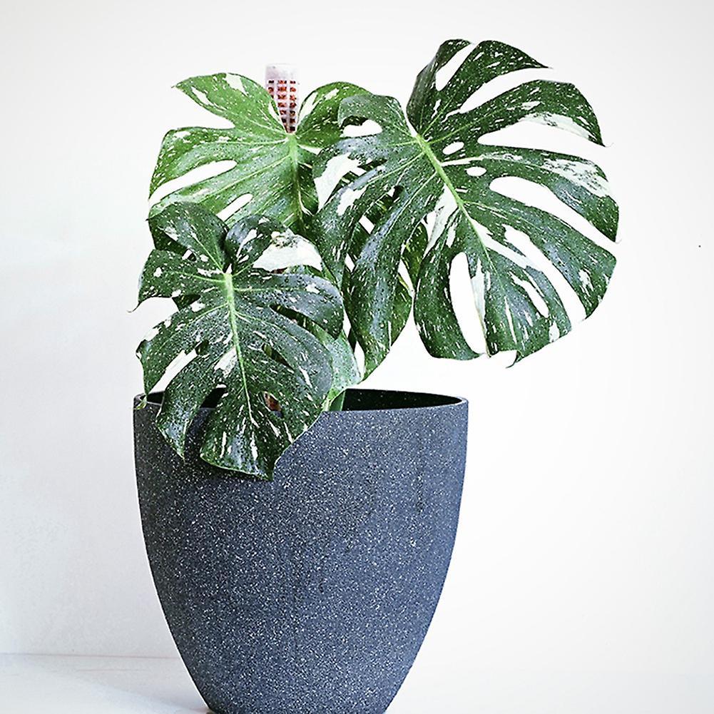 Climbing Plant Pole Plant Growing Support Coconut Palm Stick, S