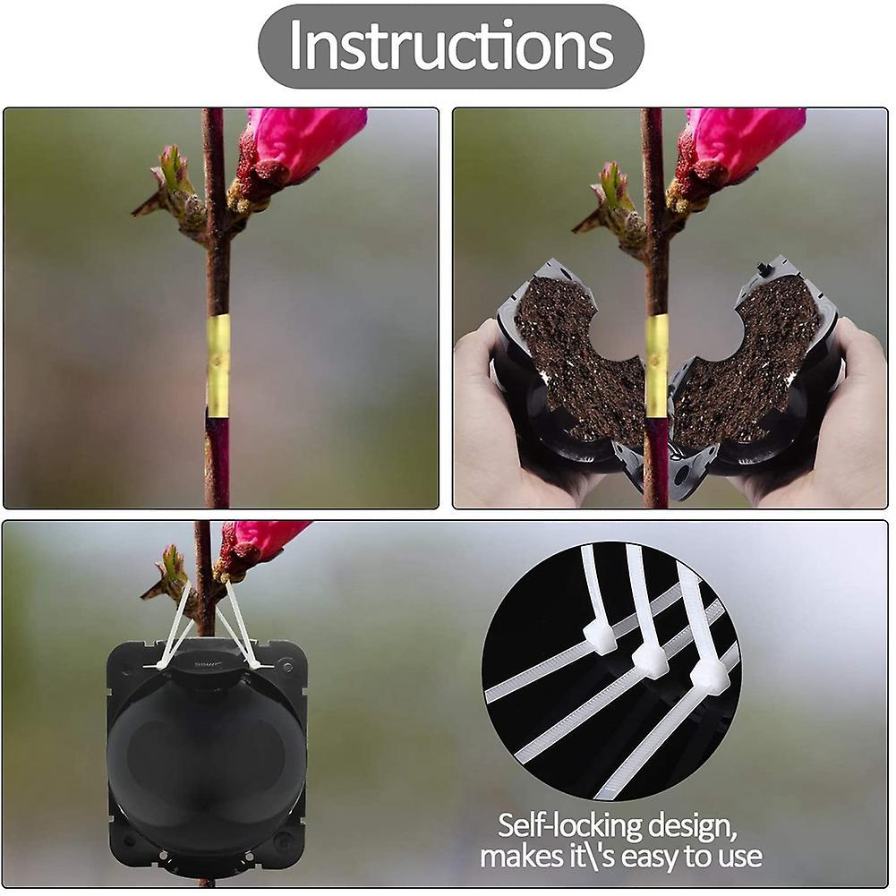 Plant Root Planting Box Grafting Equipment,plant Root Equipment Ball