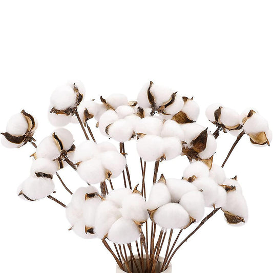 20pcs Cotton Stems, Farmhouse Decorations for Vase Home Decor