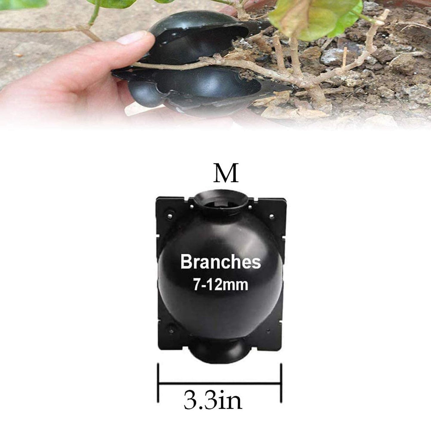 Damage Free Propagation Ball Botany Rooting Grafting Device Box