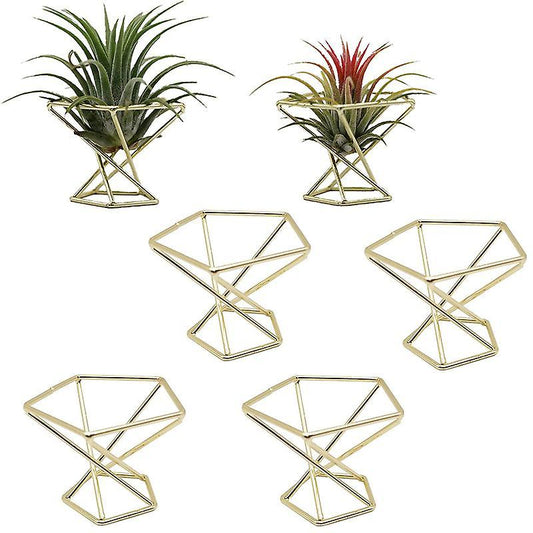 6 Pcs Geometric Air Plant Holder Airplants Rack Metal Plants Stand