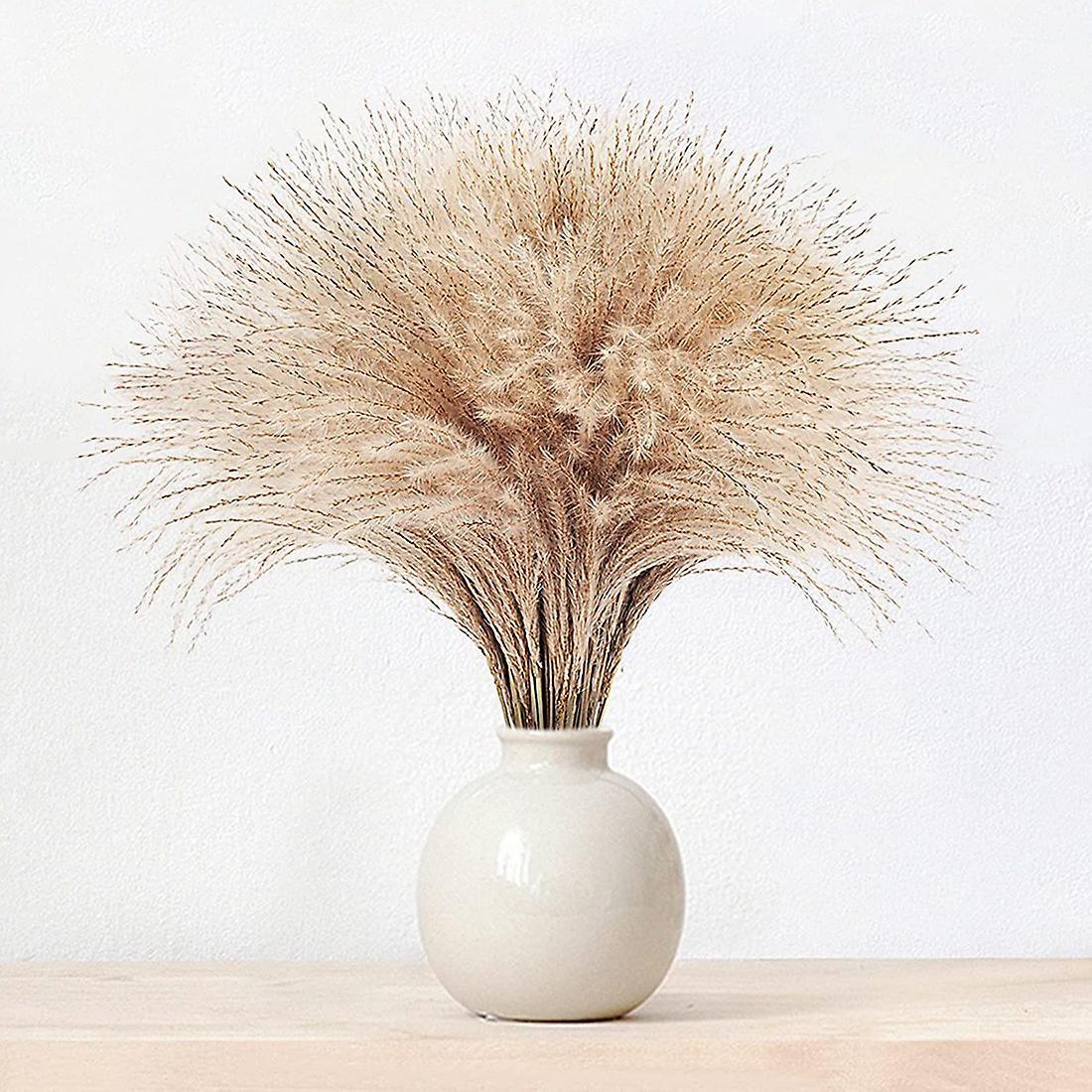 60pcs Pampas Grass, Fluffy Pampas Grass Decor.manually Selected Dried