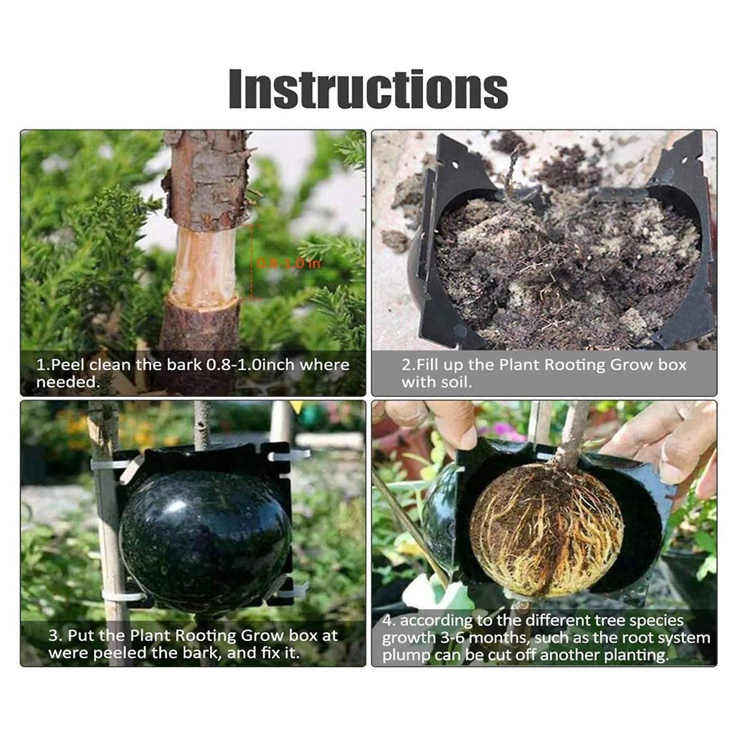 Damage Free Propagation Ball Botany Rooting Grafting Device Box