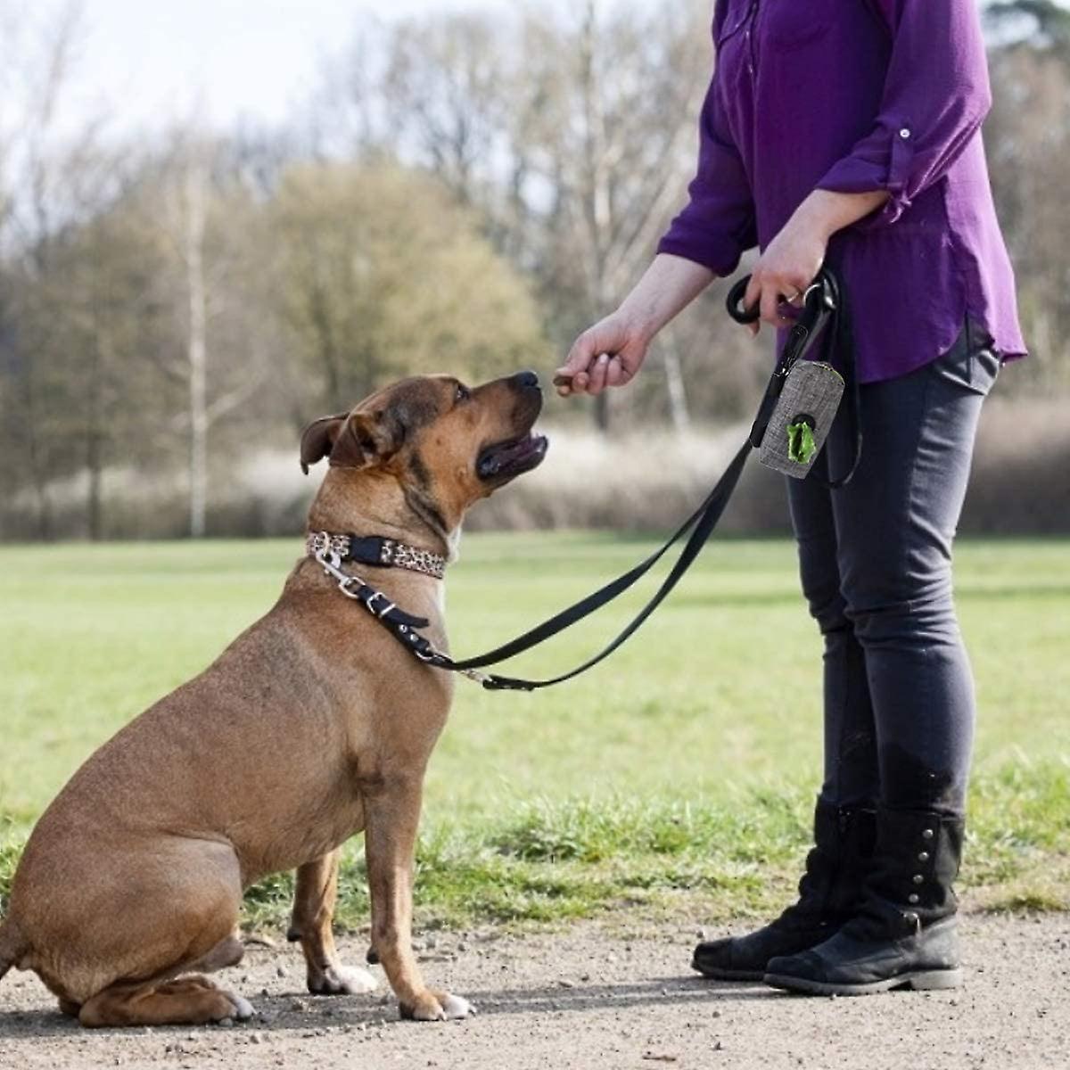 Dog Poop Bag for Leash - Dog Waste Bag Portable, Large Capacity