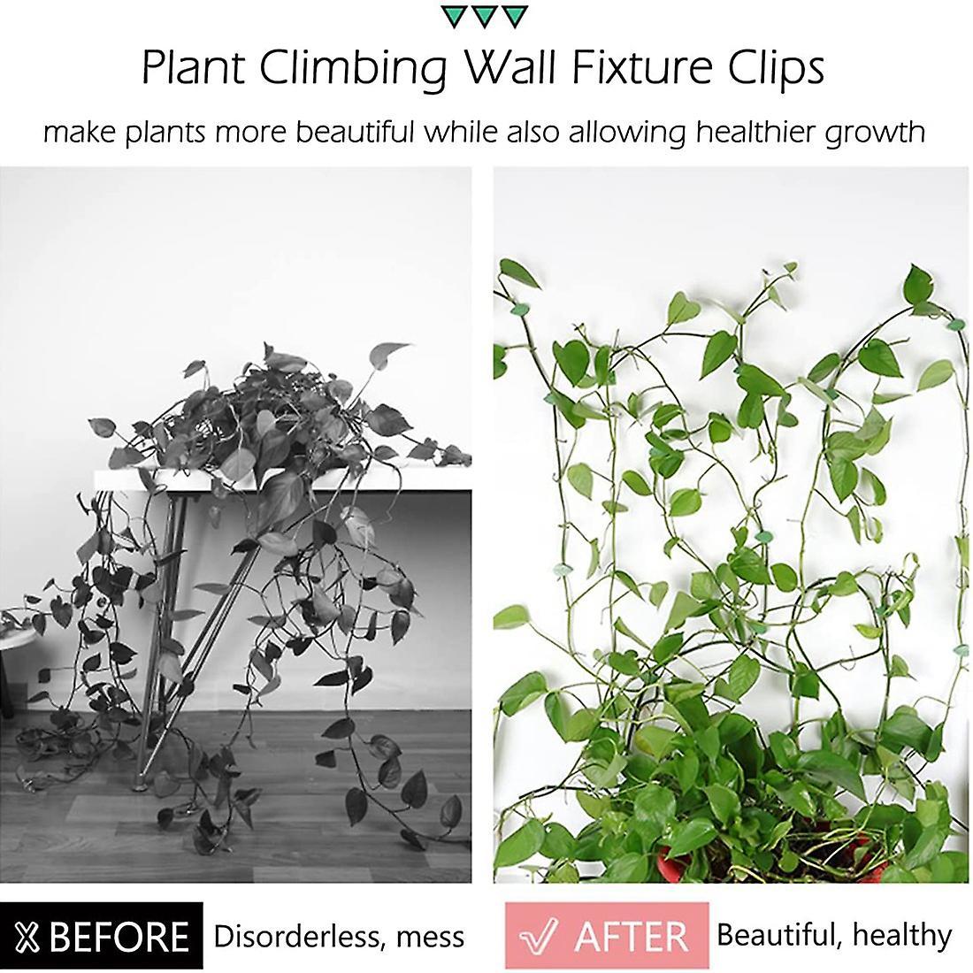 60 Pcs Plant Climbing Wall Fixture Clips Self-adhesive Traction Clips