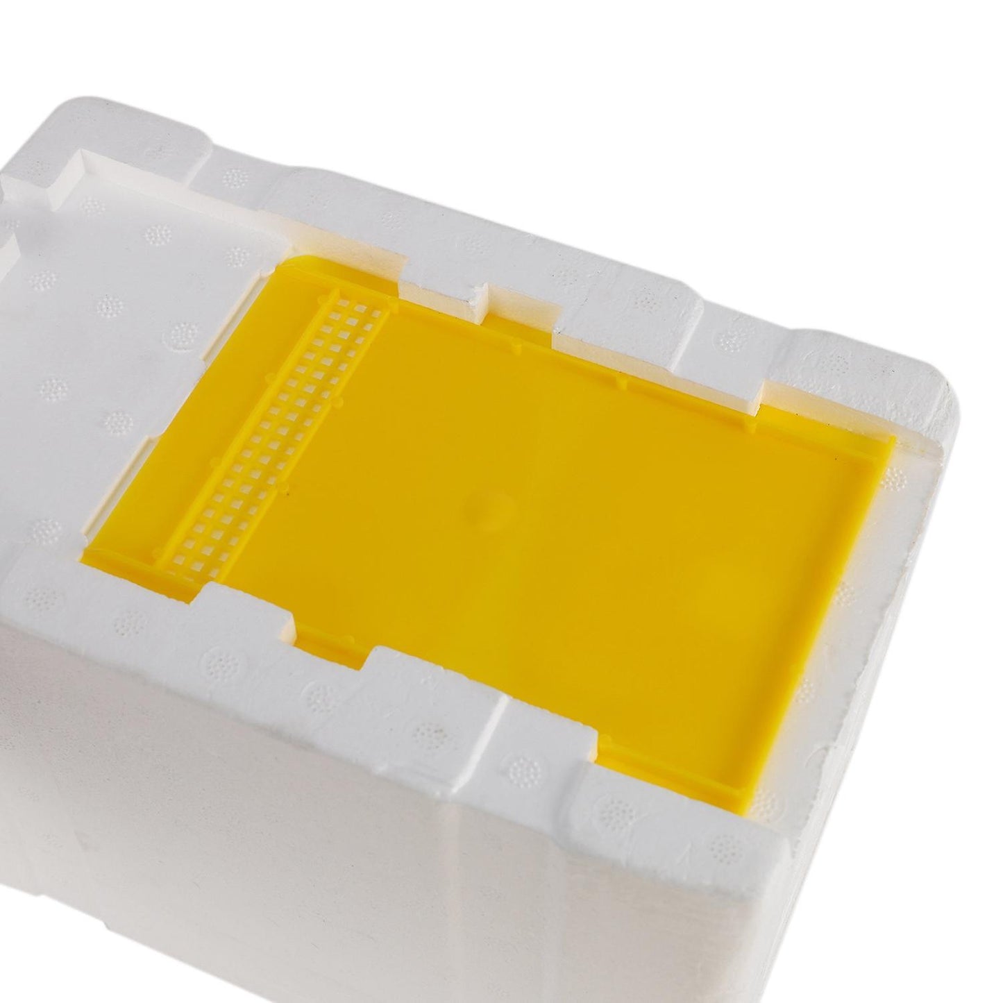 Bee Hive Beekeeping King Box Pollination Box Foam Frames Tool Kit