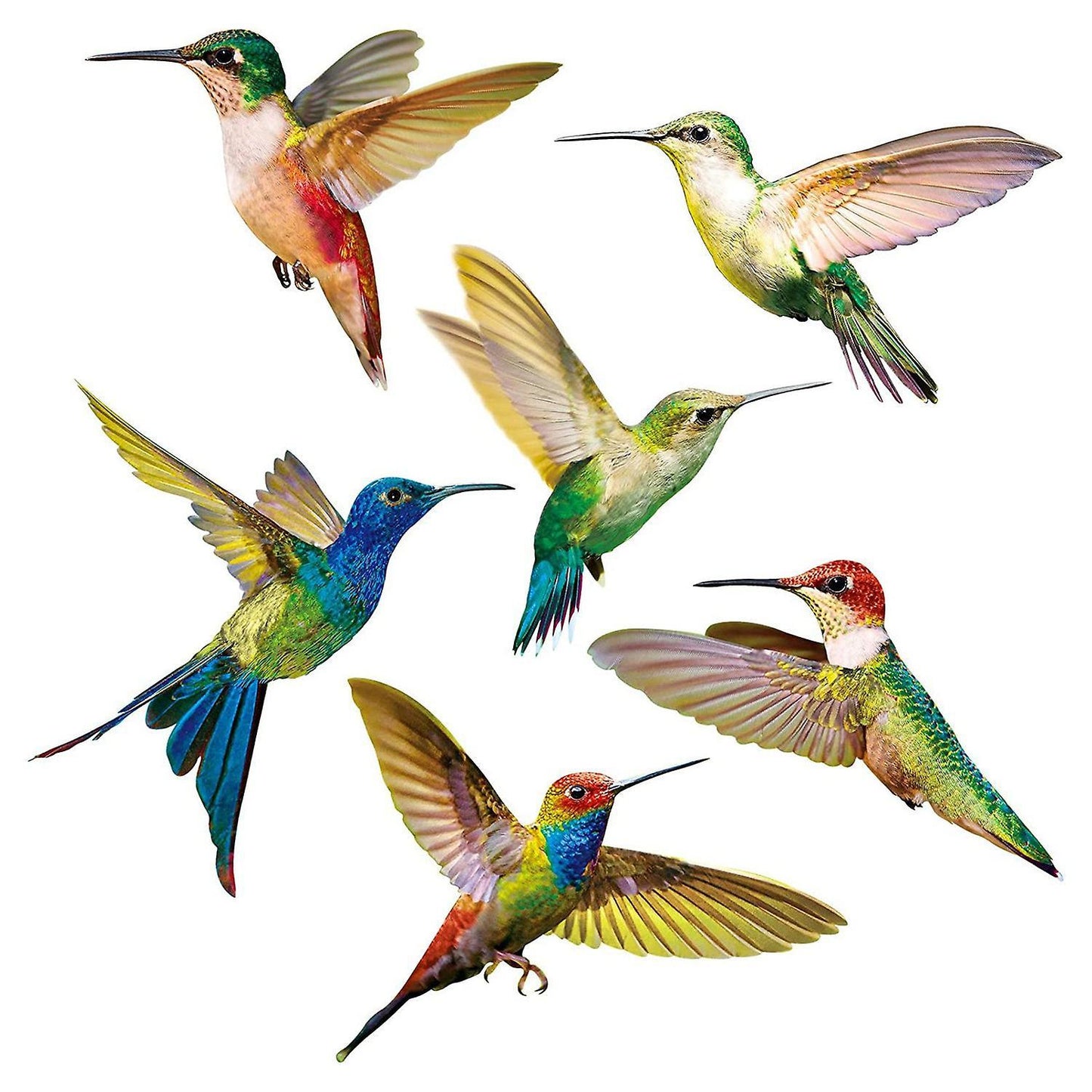 6 Pcs Large Size Bird Clings Anti-collision Window Clings